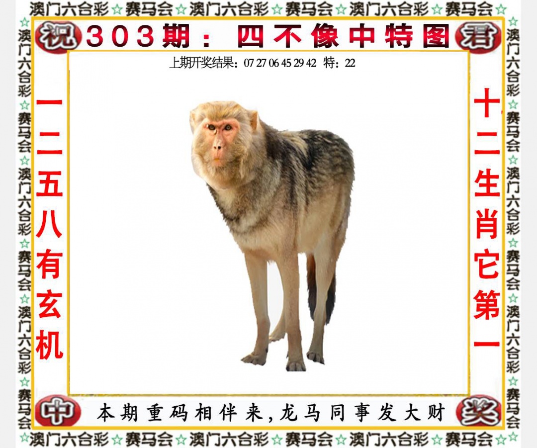 303期四不像中特图[图]